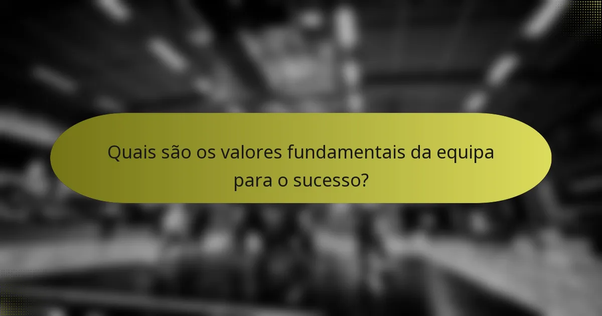 Quais são os valores fundamentais da equipa para o sucesso?